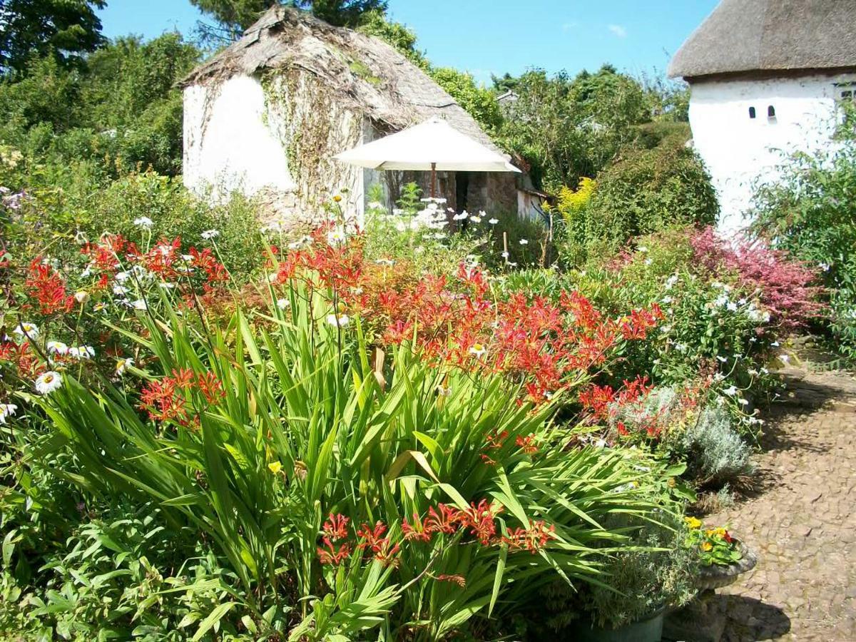 Middletown Farmhouse B&B Okehampton Exteriér fotografie