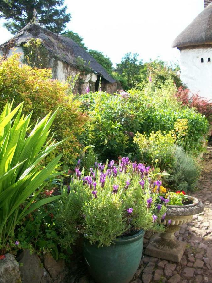 Middletown Farmhouse B&B Okehampton Exteriér fotografie